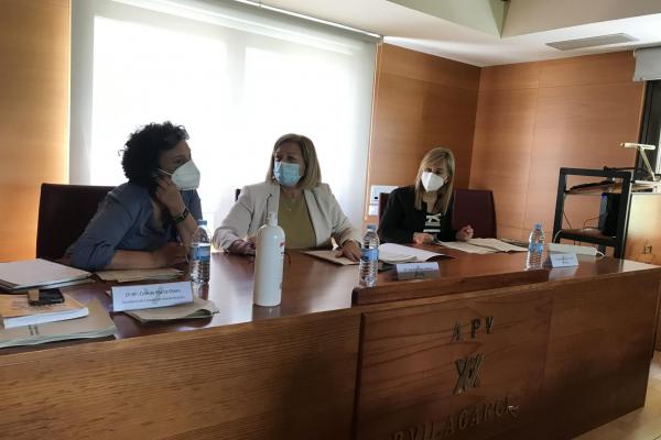 Sesión telemática del Consejo de Administración de la Autoridad Portuaria