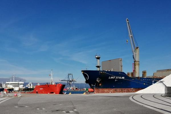 Buques trabajando en los muelles Comercial y de Comboa